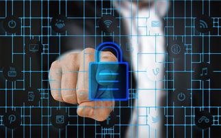 爱游戏体育（AYX）官方APP下载-科学管理体系研究，科学管理体制