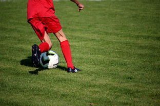 爱游戏平台-篮球运动员心理韧性培养及心理干预体系建设，篮球运动员心理素质的重要性